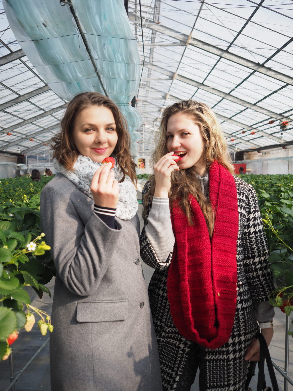 what to do in Hiroshima