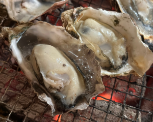 oysters miyajima